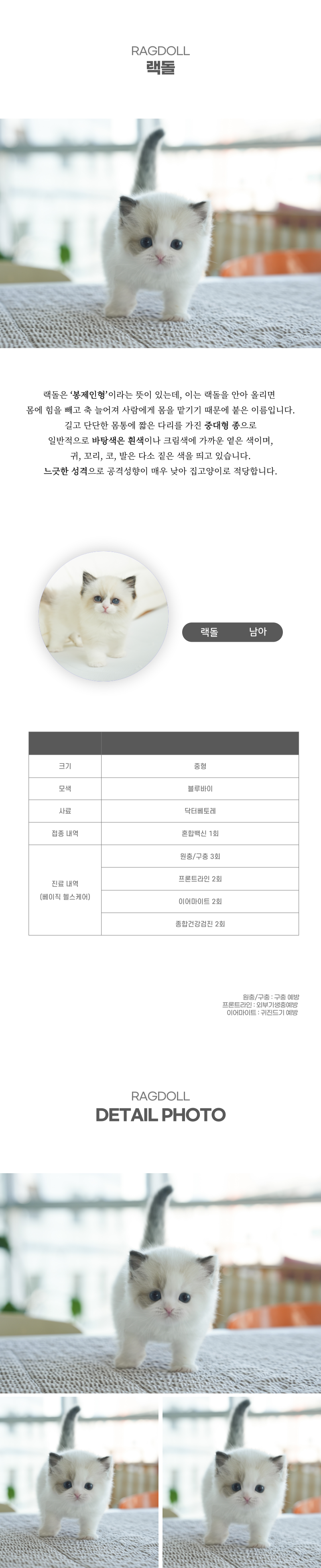 랙돌_상세이미지_2